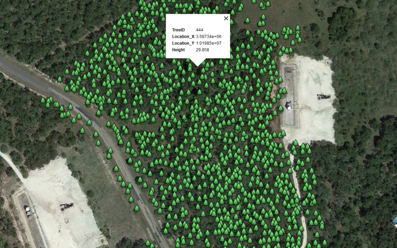 Drone LiDAR Tree Count